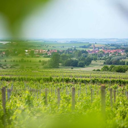 Seinsheim Weingut Schilling酒店 外观 照片